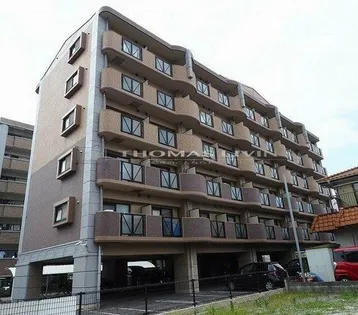 エス テイト守恒の画像