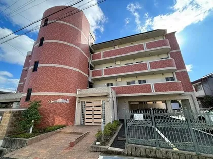 グレース大嘉の画像