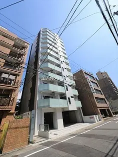 the platinum【10階】の外観