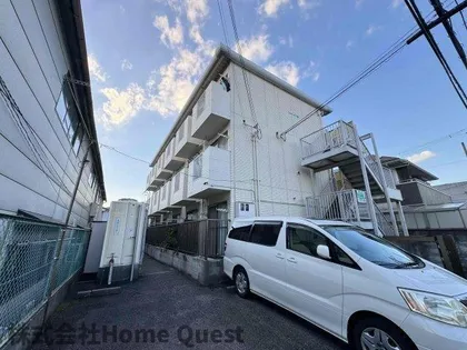 シャモール八重の画像