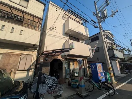 ビクトワールシェルの画像