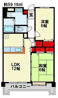 ハイネス若園【6階】の間取り