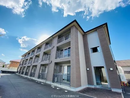 パールコートの画像