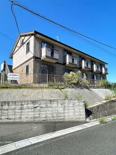 アカイユの画像