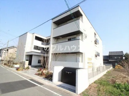 クリザンテームの画像