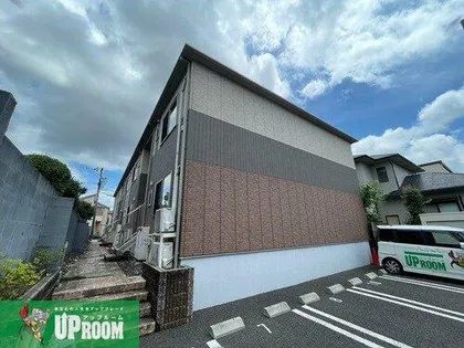 ピュア江南の画像