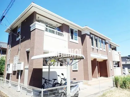 ウコンザクラの画像