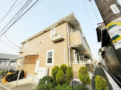 ルピナスの画像