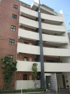 パラシオエステレーラの画像