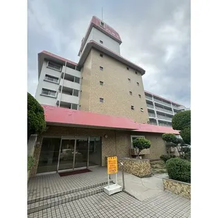 ルネ舞子の画像