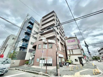 パレフラックスの画像