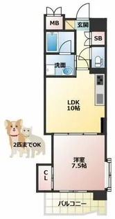 マスターズレジデンス道頓堀Ⅲ【5階】の間取り