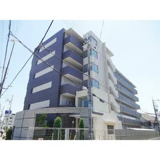 カンマキーノの画像