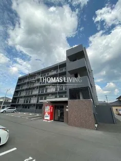 ダヴィデの画像