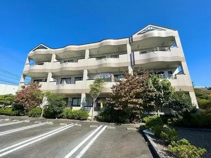 エトワールⅡの画像