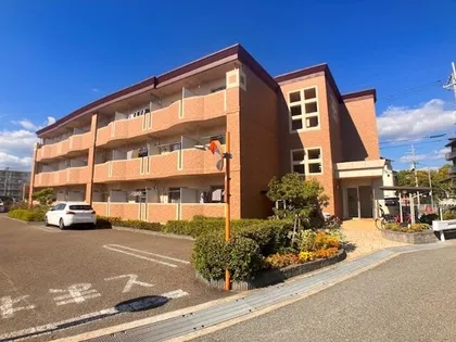 アドラブールの画像