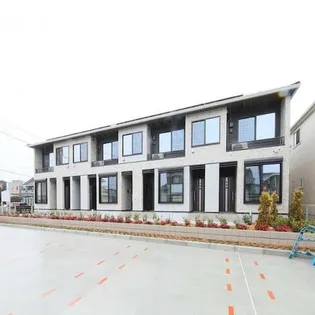 セリーナの画像