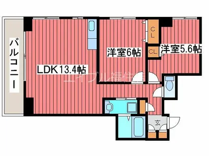 ドリームアベニュー広和No.16【7階】の間取り