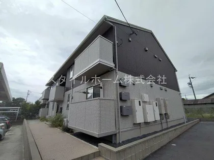 プラシードの画像