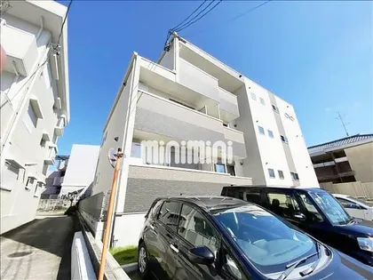 ウィステリア玉水の画像