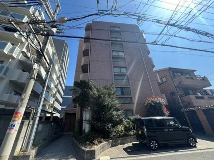 アイズワンⅡの画像