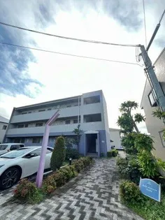 ヴェルドミールステラの画像