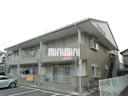 エクセルミキの画像