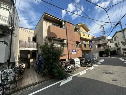 アネシオン平野の画像