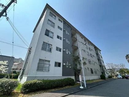 膳所ハイツ3号棟の画像