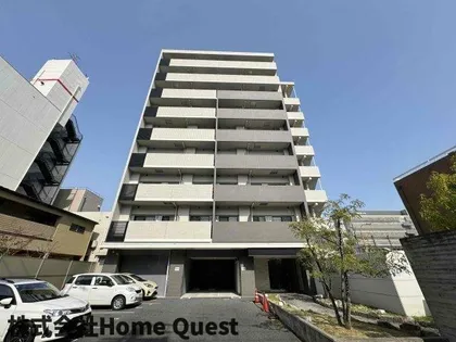 アンギンルマの画像