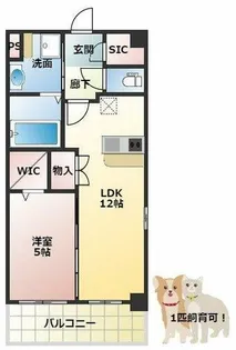 スプランディッド新大阪EAST【3階】の間取り