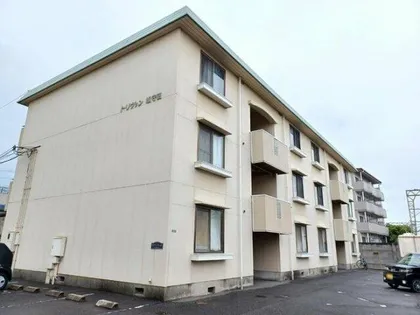 トリヴァン加守田の画像