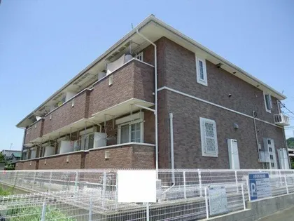 グレイスNKの画像