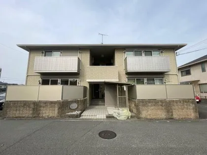 ウィットNの画像