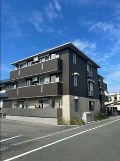 セッテの画像