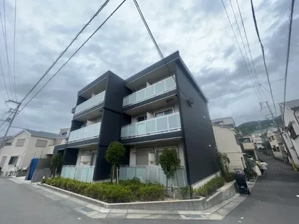 リブリ スカイブルーライズの画像