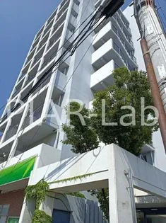 カサ デ フローレスの画像