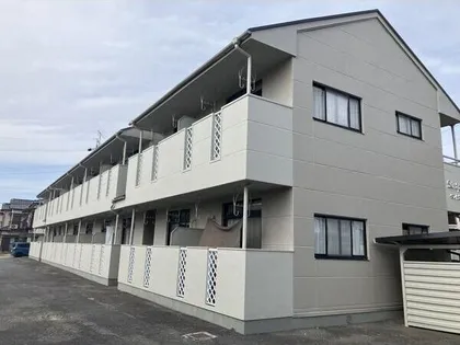 セントポーリアの画像