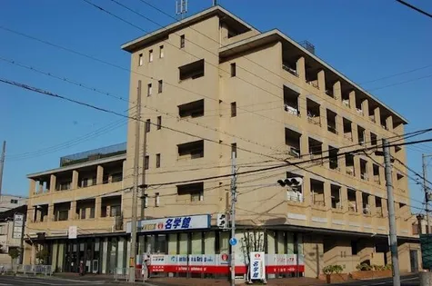 ラフィーネの画像