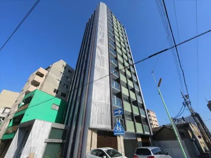 KAMIMAEZU RISEの画像