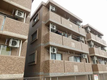 シーズンの画像