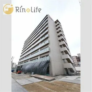 MV MS大阪新加美の画像