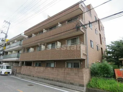 セレブ小若江の画像
