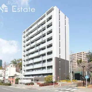 グランドコスモスの画像