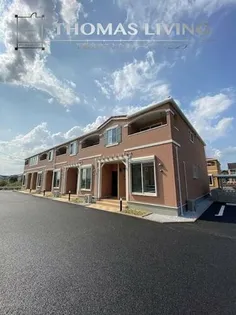 コスモス Kの画像