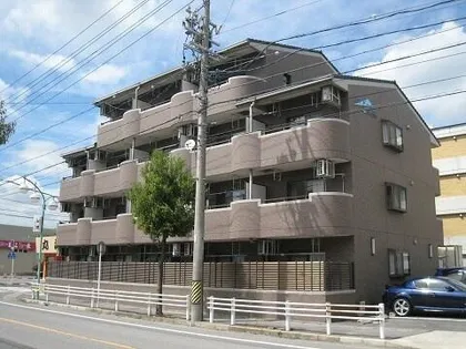 シャドーラムの画像