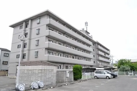 コリンノルドの画像