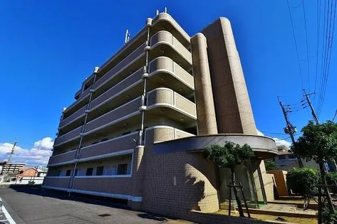 ピアチェーレの画像