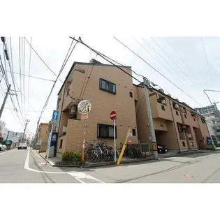 シキタトゥーリ1の画像