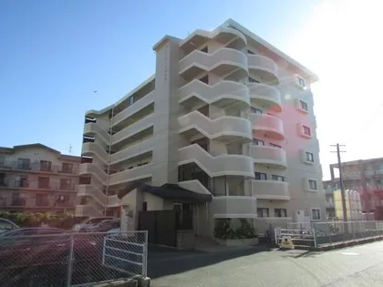 アンビロン生の松原の画像